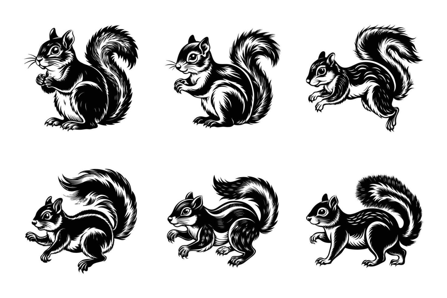 Modern squirrel silhouette isolated in flat style vector