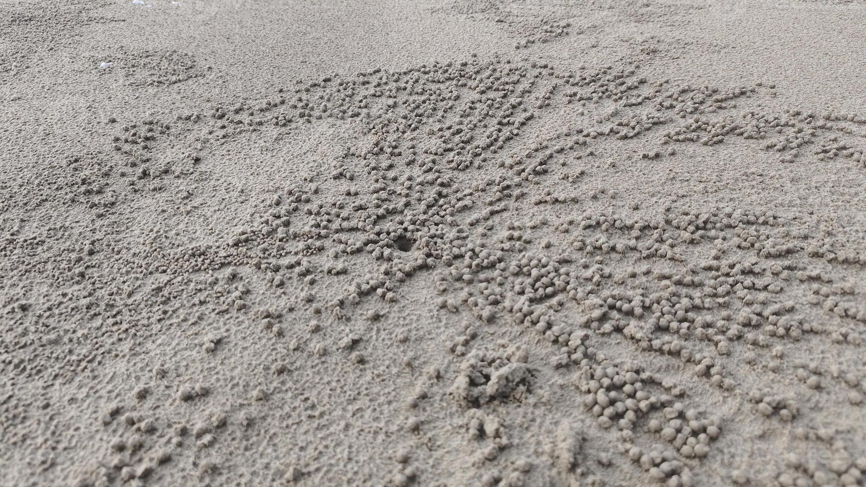Intricate sand patterns formed by tiny crabs creating small pellets on the beach photo
