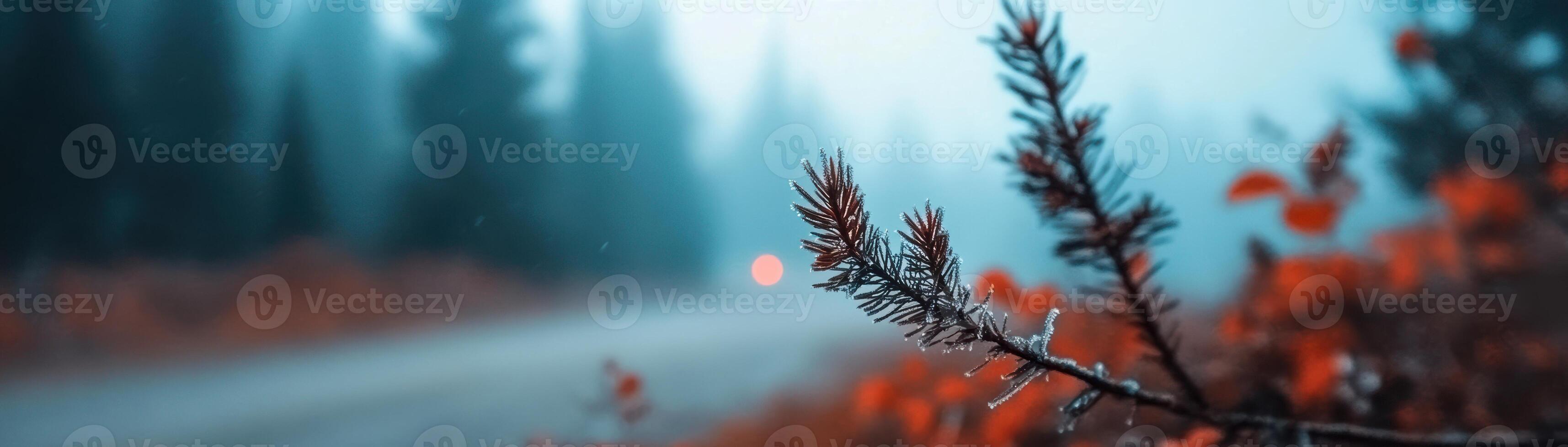 morning mist in spruce-filled verdant forest, soft light filtering through cerulean sky branches dripping with ice photo