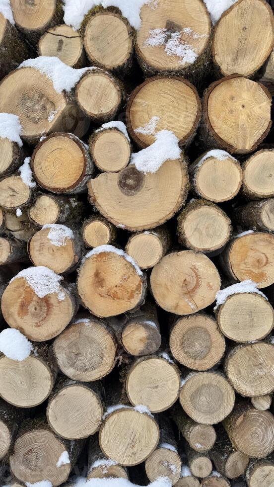 Stack of Wooden Logs Covered with Snow in a Natural Outdoor Setting. Snow-dusted cut wooden logs arranged in a neat pile, showcasing natural textures ideal for countryside, firewood, or rustic-inspired themes. photo