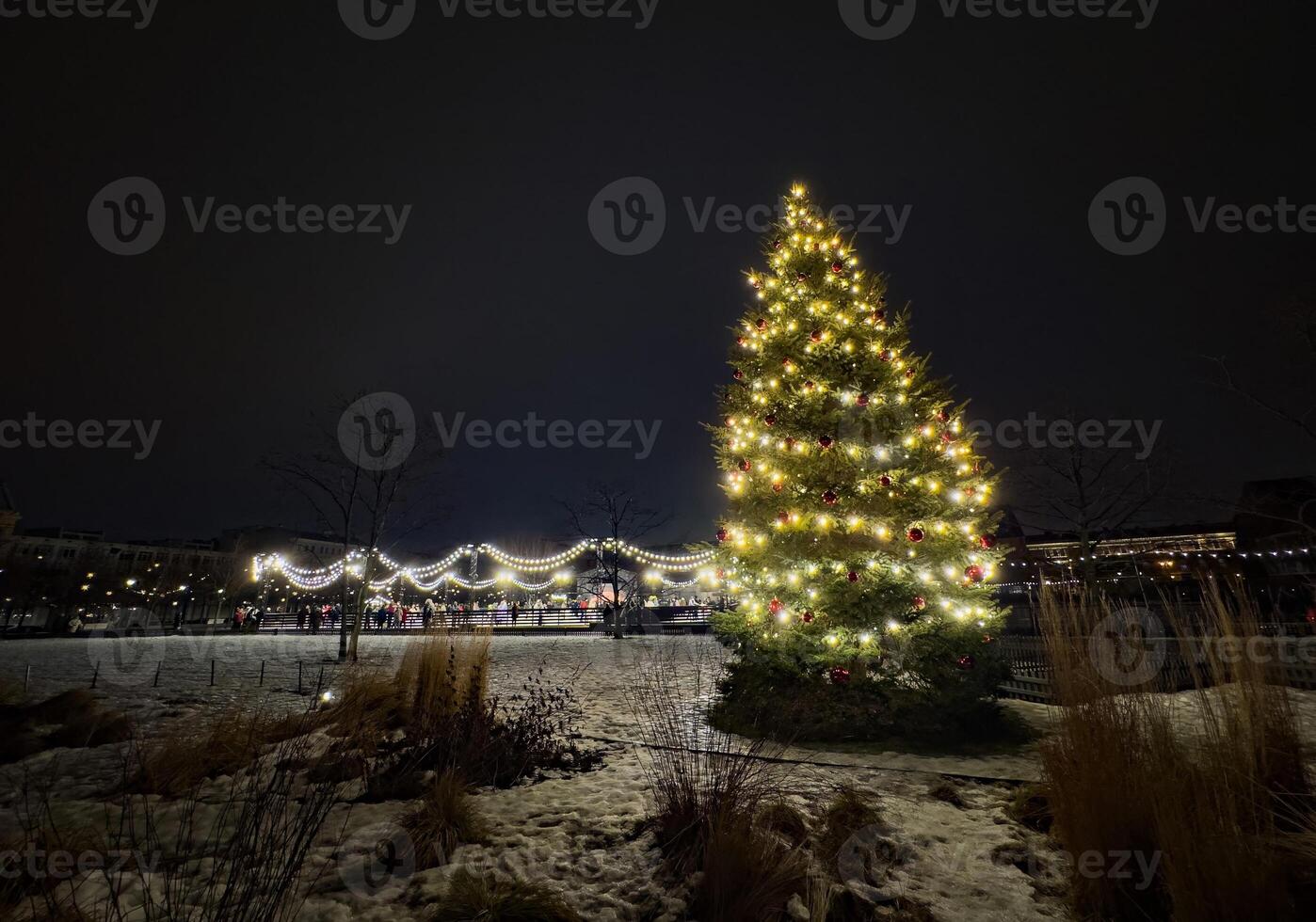 A beautifully decorated Christmas tree with twinkling white lights and red ornaments stands tall in a snowy park at night. A string of festive lights in the background enhances the holiday atmosphere photo