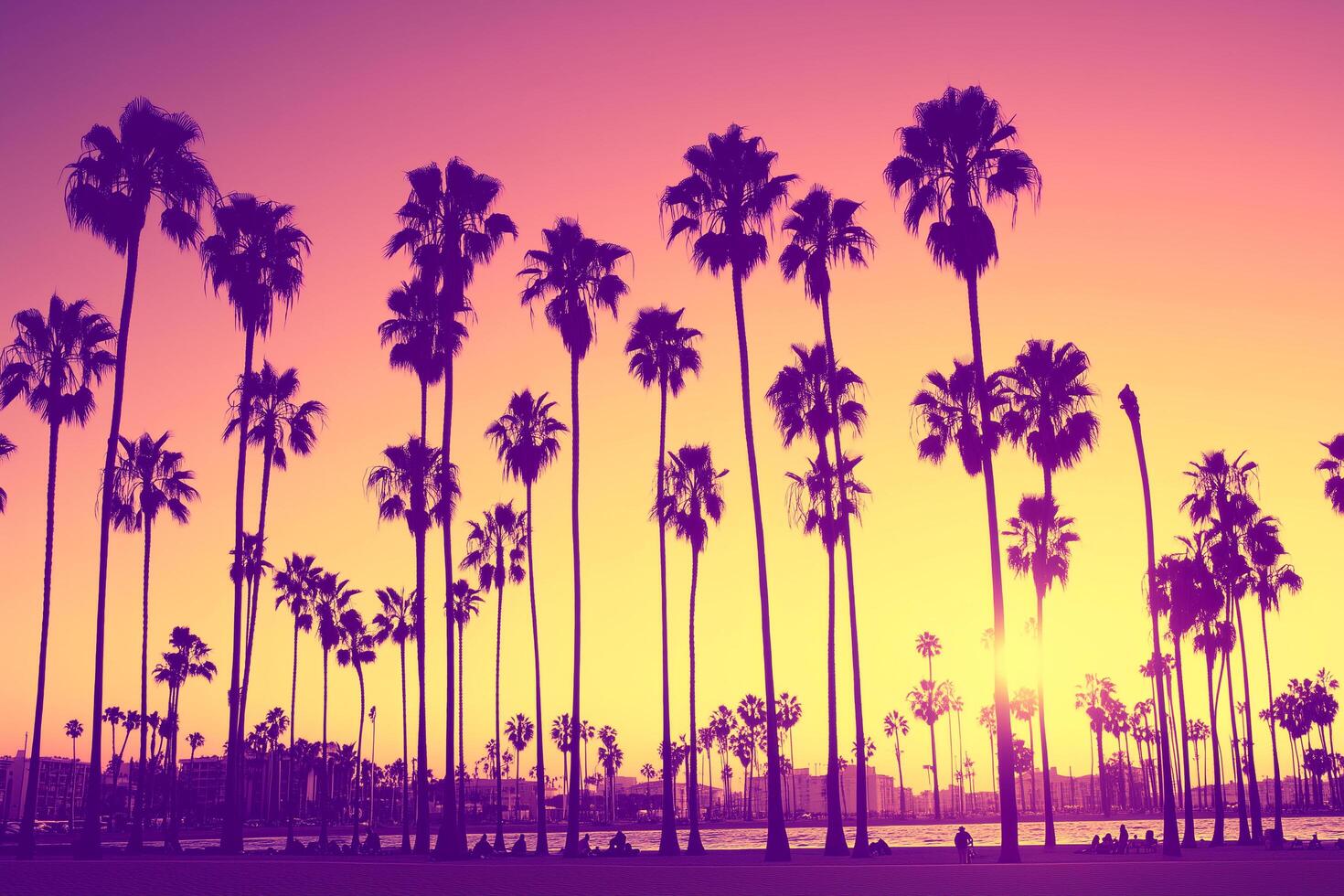 Vintage Toned Sunset Over Sandy Beach with Coconut Palm Trees and Ocean View Distress Flare photo