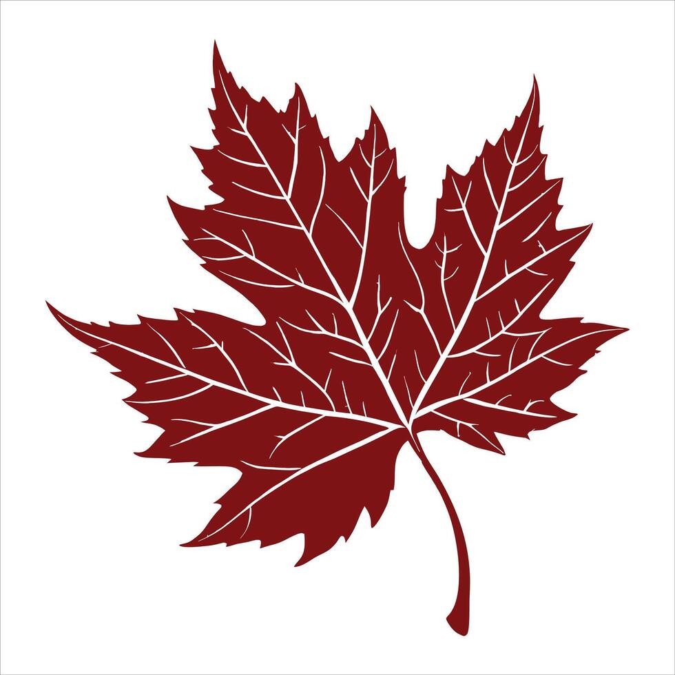 Red Maple Leaf Silhouette Nature's Symbol of Autumn vector