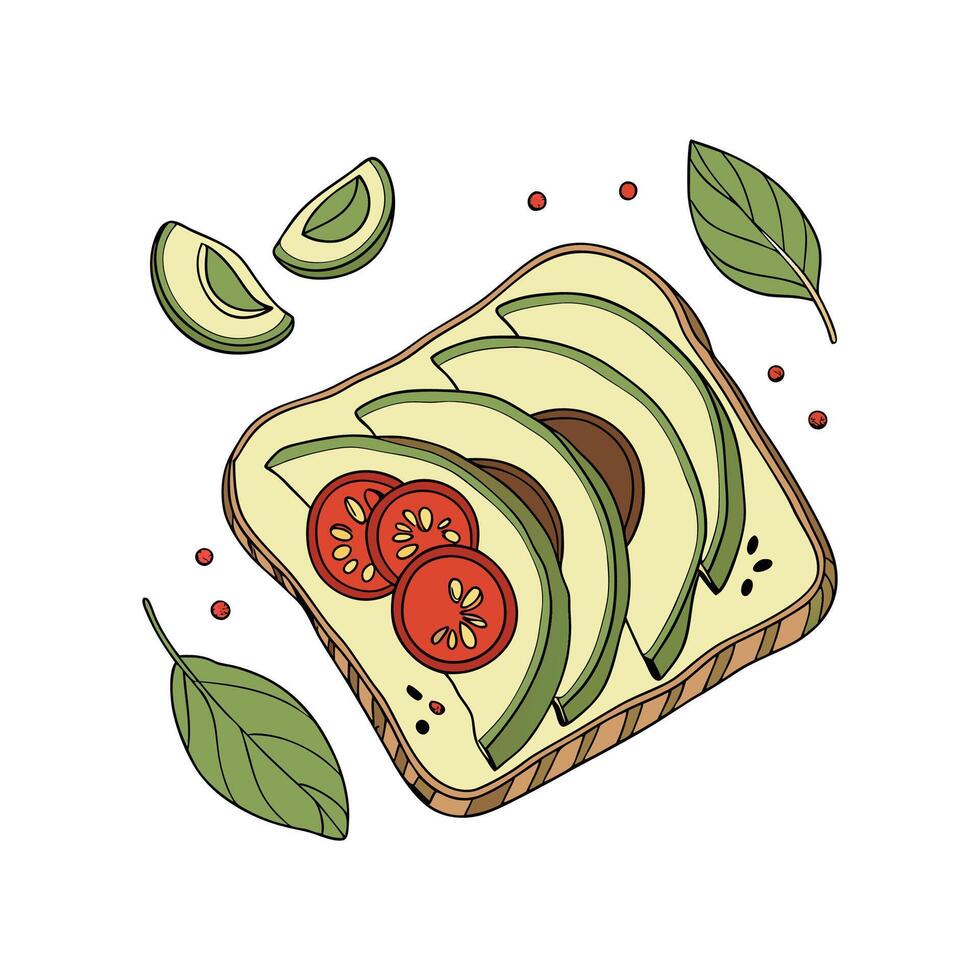 Tasty Avocado Whole Wheat Toast Mash vector