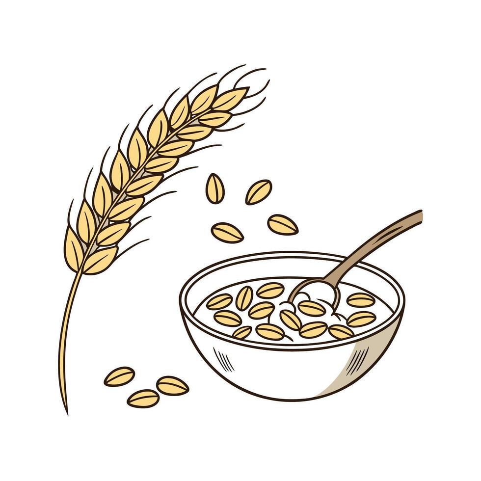 Nutritious Barley Cereal for Breakfast vector