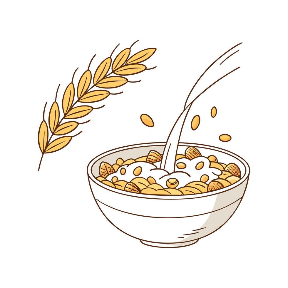 Creamy Barley Cereal for Nutritious Breakfast vector