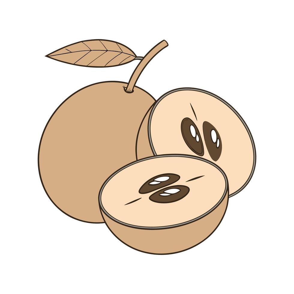 Delicious Chikoo Sapodilla Mash Healthy Treat vector