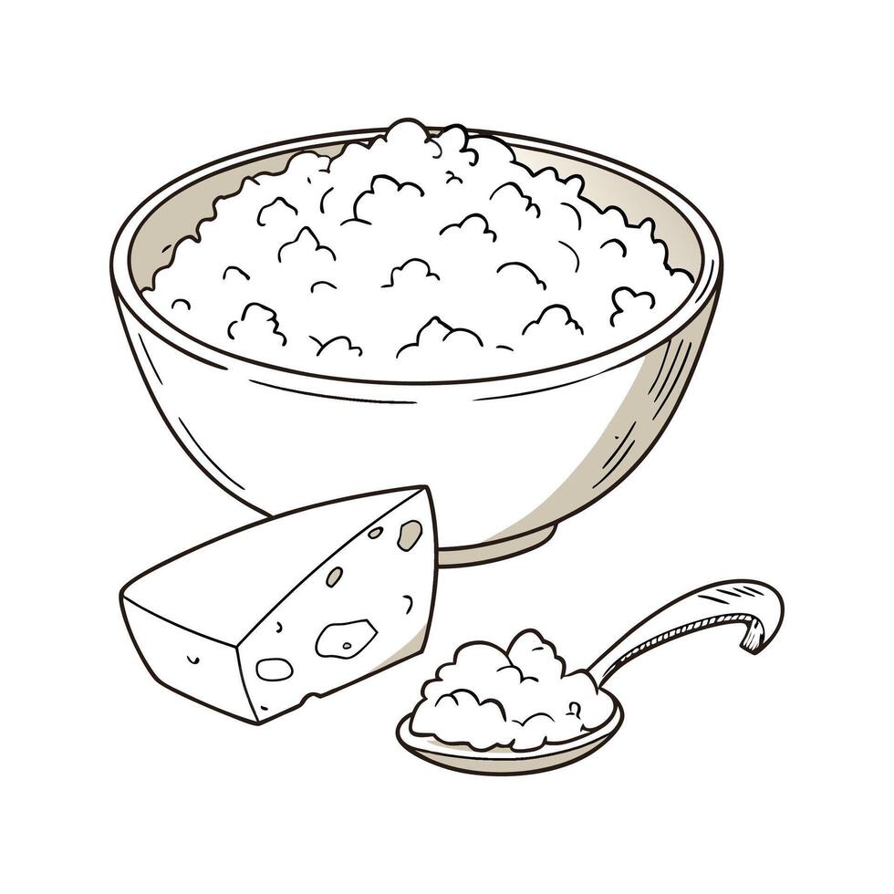 Yummy Cottage Cheese for Healthy Snacking vector
