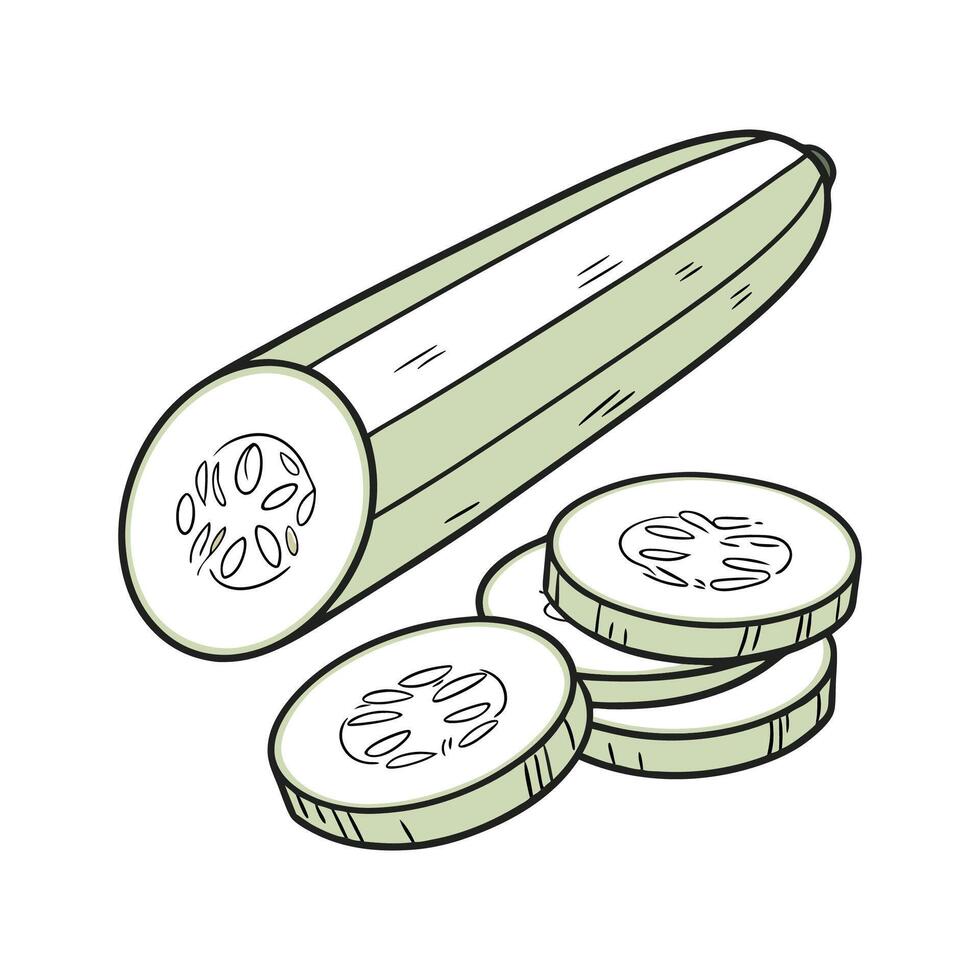Nutritious Cucumber Sticks Healthy Snack vector