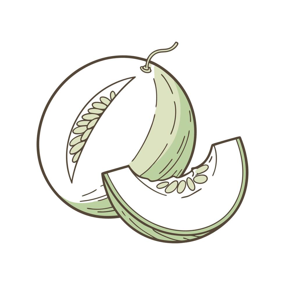 Creamy Honeydew Melon Puree for Nutritional Meals vector