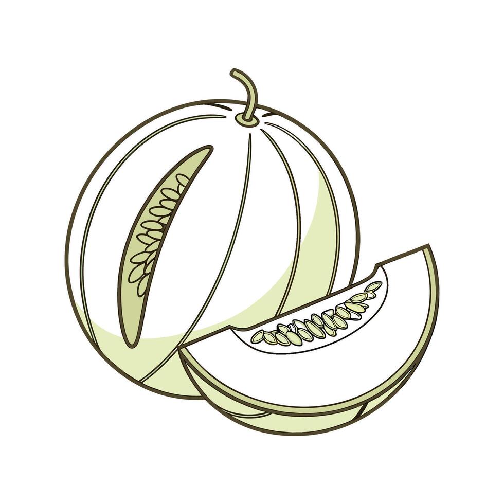 Delicious Honeydew Melon Puree for Healthy Eating vector