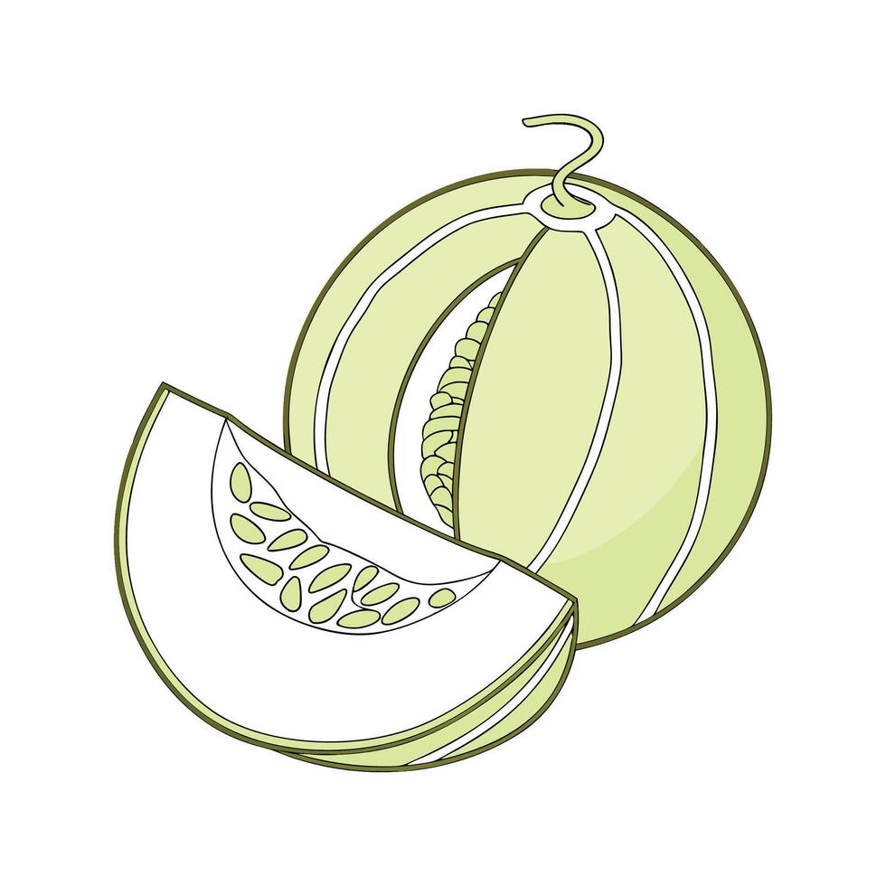 Nutritious Honeydew Melon Puree Healthy Dish vector