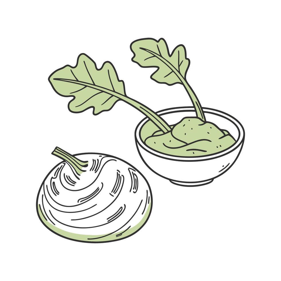 Savory Kohlrabi Puree Quick Option vector