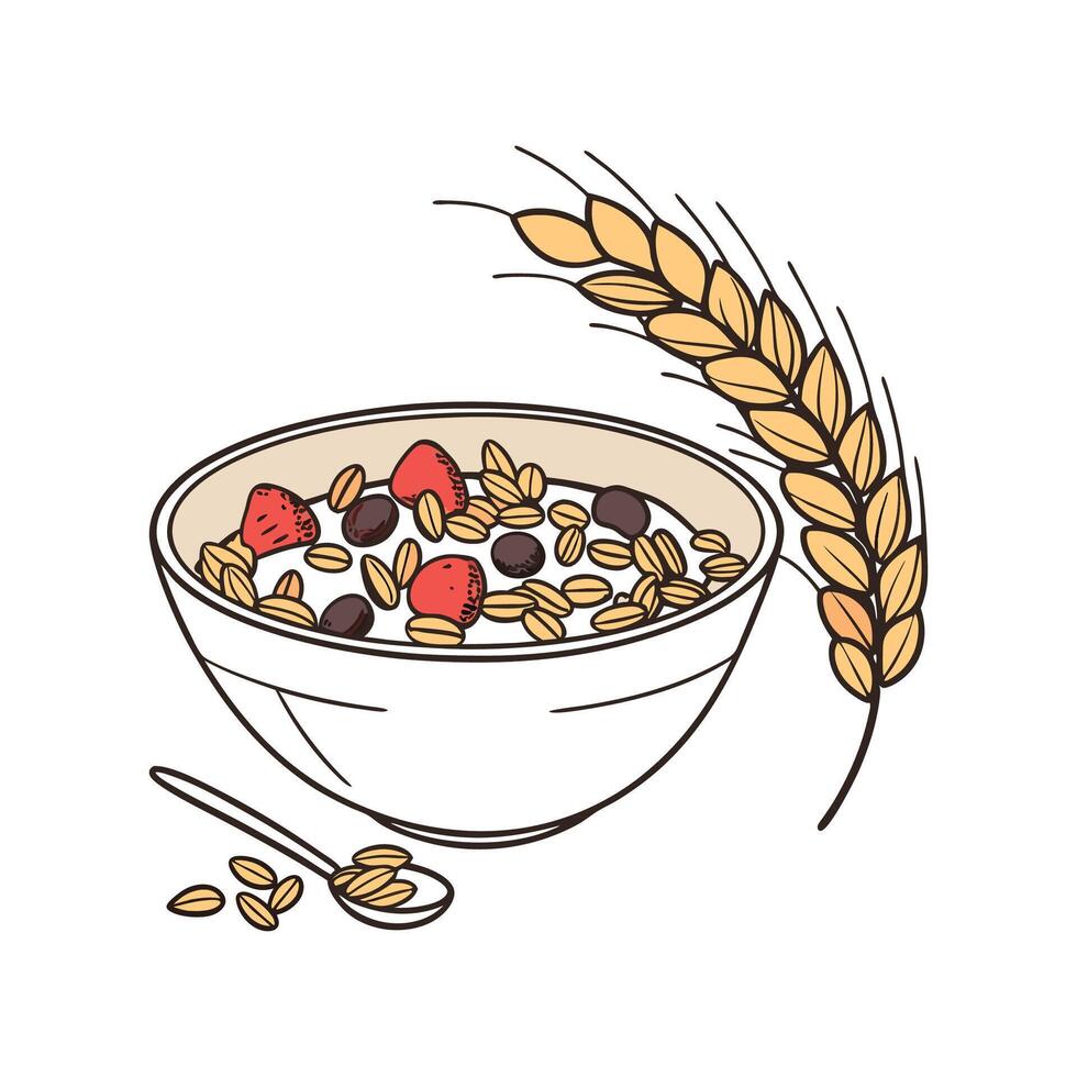 Nutritious MultiGrain Cereal for Healthy Meals vector