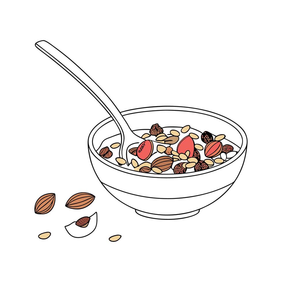 Creamy MultiGrain Cereal for Nutritional Meals vector