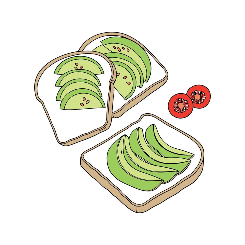Savory Soft Avocado Toast Fingers Quick Snack vector