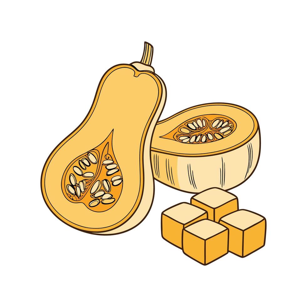 Yummy Soft Butternut Squash Cubes for Healthy Snacking vector