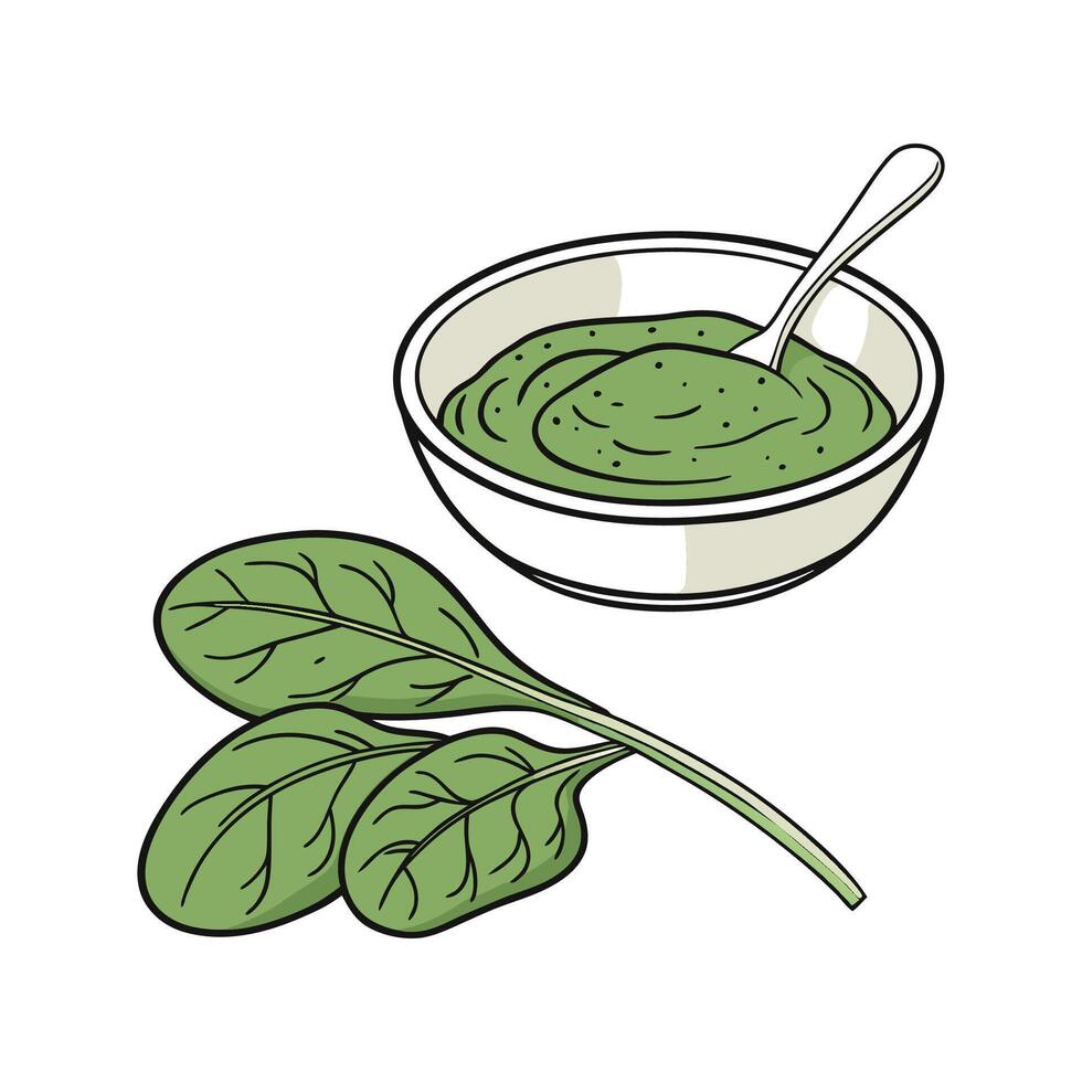 Creamy Spinach Puree for Nutritional Meals vector