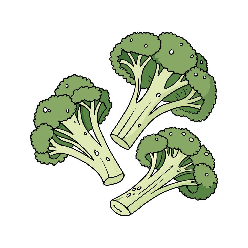 Savory Steamed Broccoli Florets Quick Snack vector