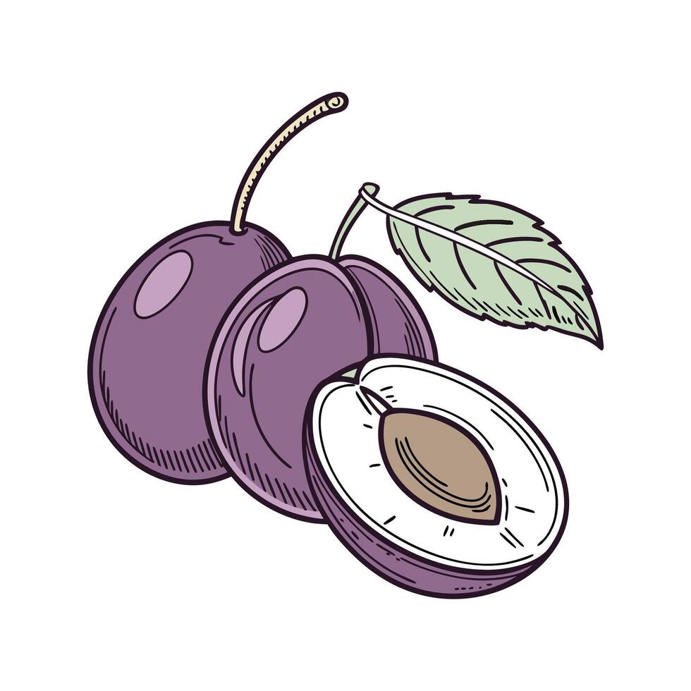 Yummy Steamed Plum Puree for Healthy Snacking vector