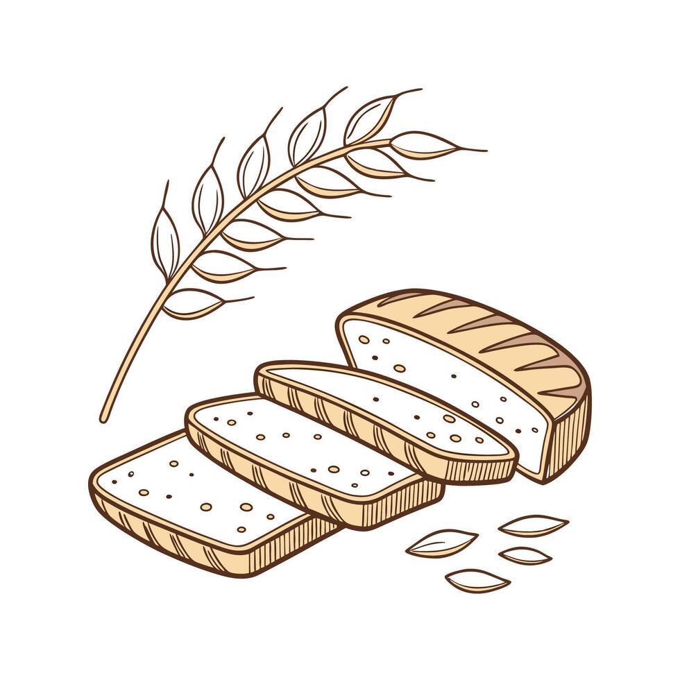 Nutritious Whole Grain Toast Strips for Healthy Treats vector