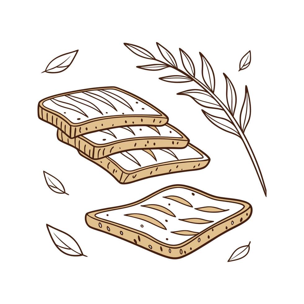 Creamy Whole Grain Toast Strips for Nutritional Meals vector