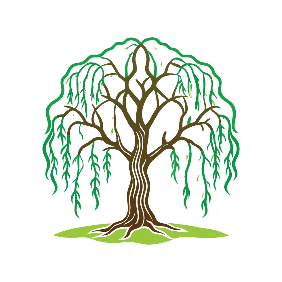 Realistic Willow Tree Bold Outline Design 3 vector