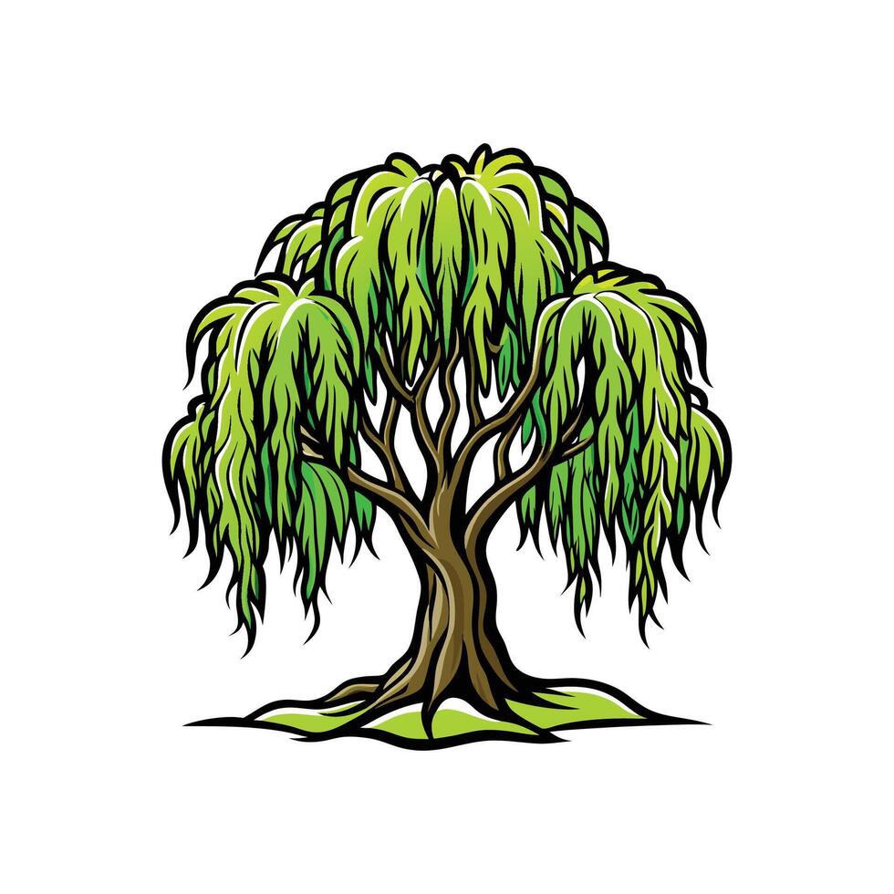 Distinct Willow Tree Outline Art. vector