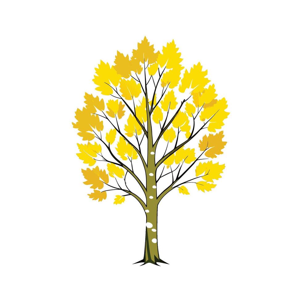 Realistic Yellow Birch Tree Bold Outline Design 1 vector
