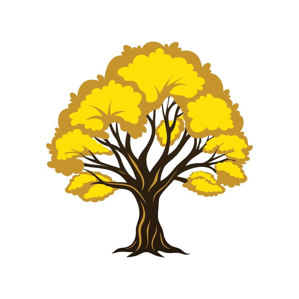 Realistic Yellow Elder Tree Bold Outline Design 2 vector
