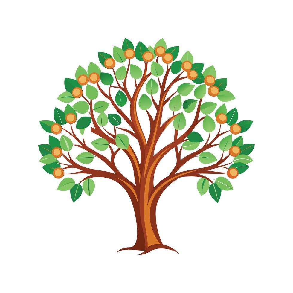 Stylish Alder Buckthorn Tree Outline vector