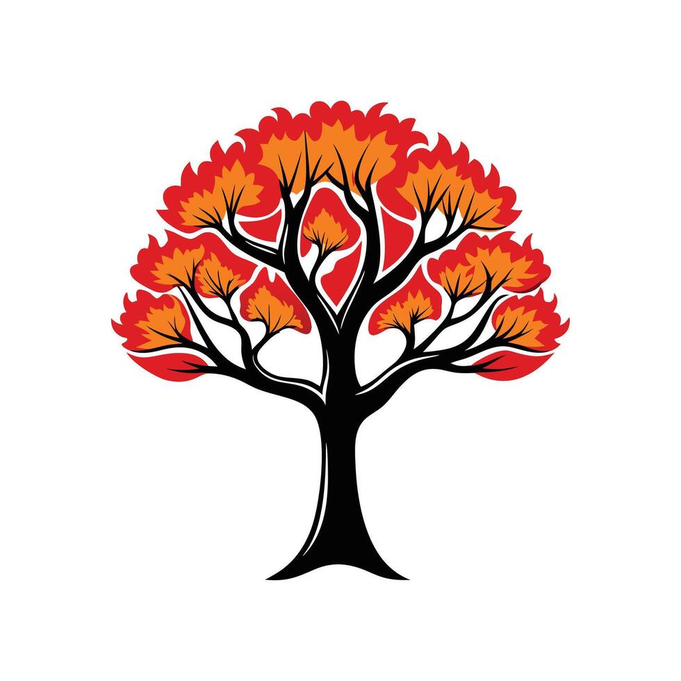 Stylish Australian Flame Tree Bold Outline vector