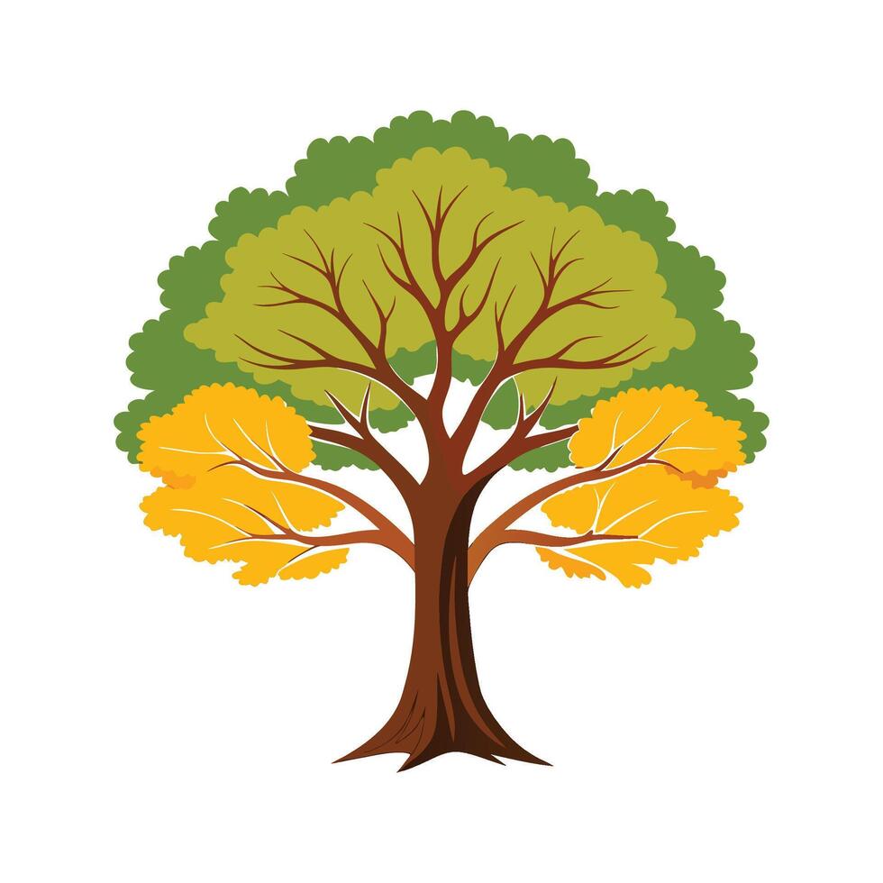 Artistic Beech Tree Outline Artwork vector