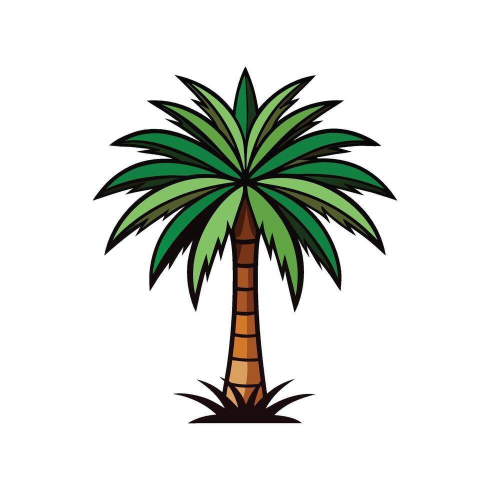 Stylish Bismarck Palm Tree Outline vector