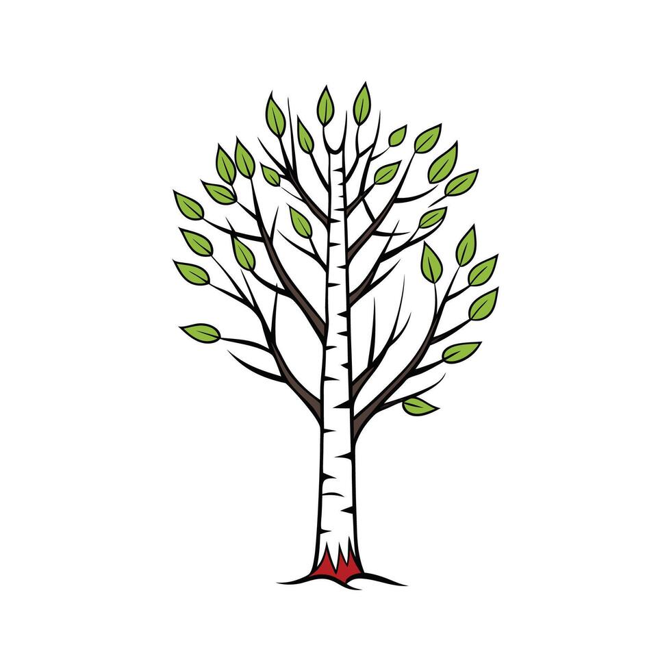 Creative Outline of Birch Tree Design vector