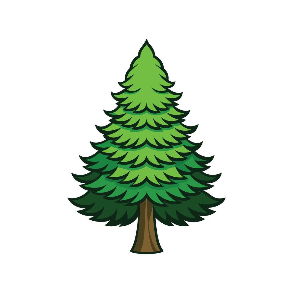 Creative Outline of Bunya Pine Tree vector