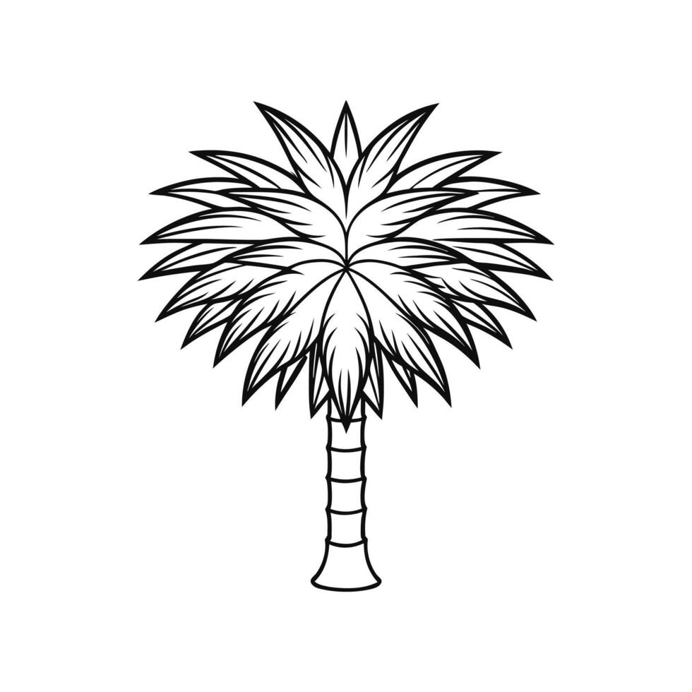 Creative California Fan Palm Outline vector