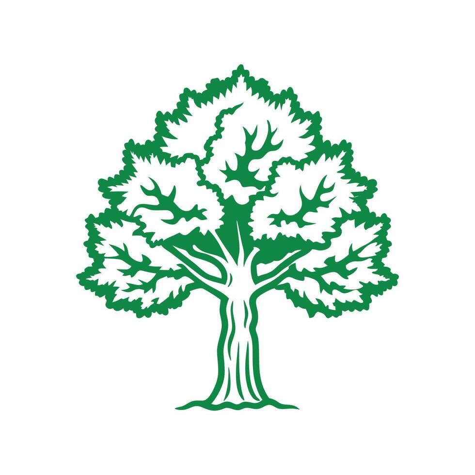 Distinct California Buckeye Tree Outline Art vector