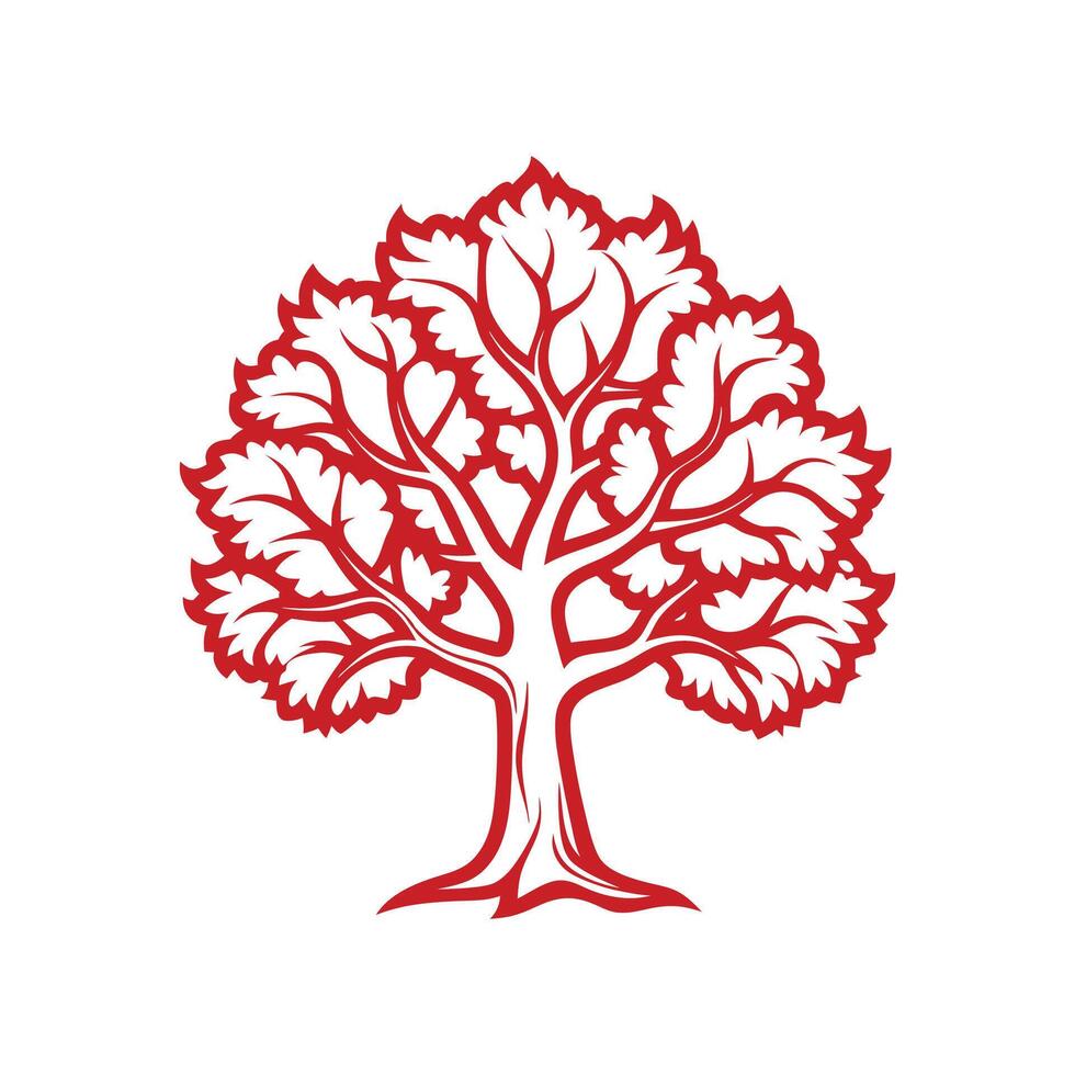 Elegant California Buckeye Tree Outline vector