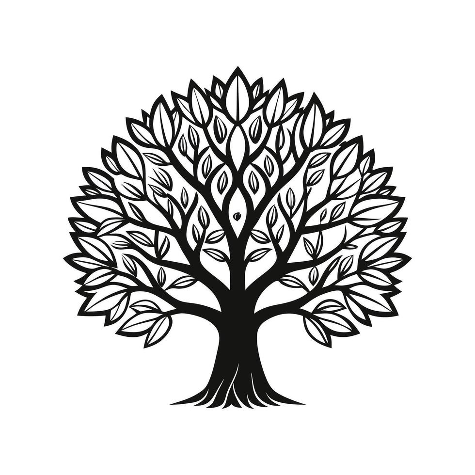 Elegant Outline of California Laurel Tree vector