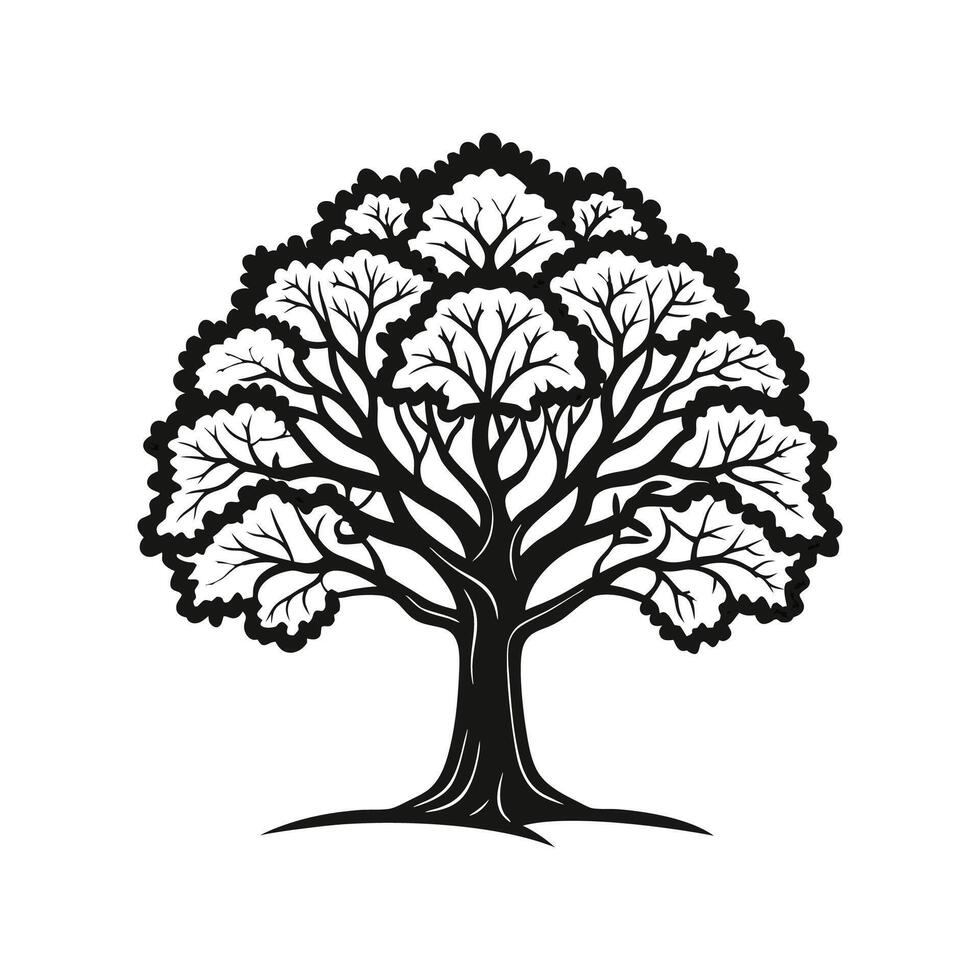 Charming California Laurel Tree Outline vector