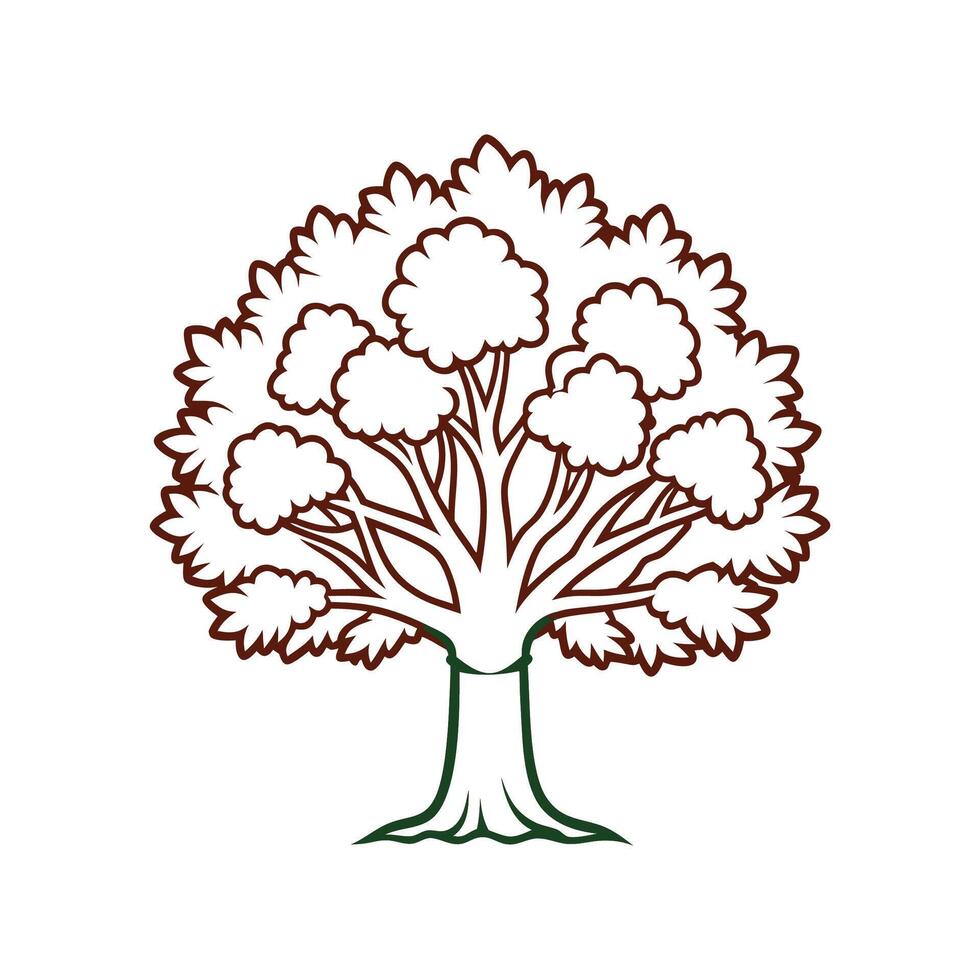 Unique Outline of California Buckeye Tree vector