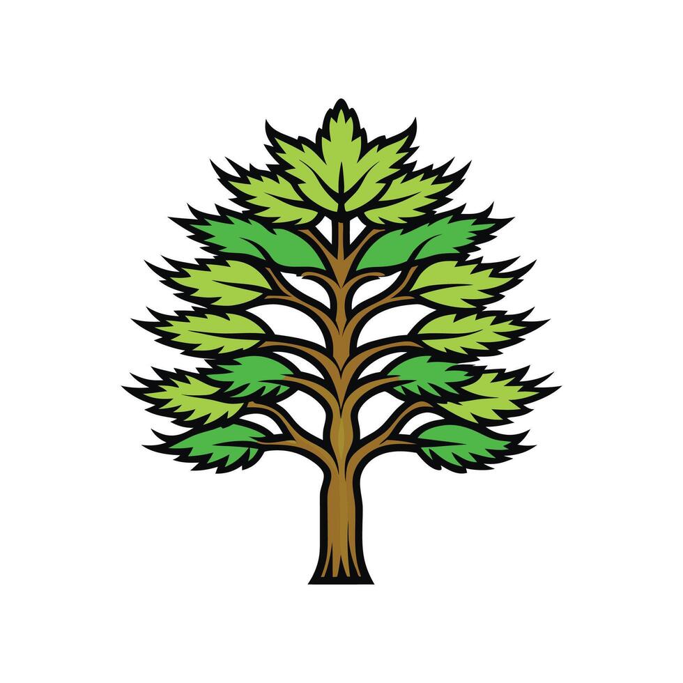 Elegant Outline of Casuarina Tree vector