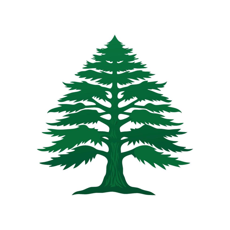 Elegant Cedar of Lebanon Tree Outline vector