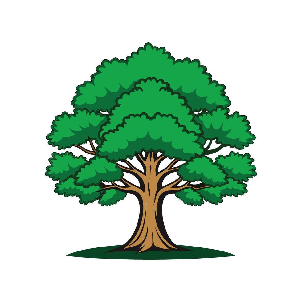 Stylish Outline of Chinkapin Oak Tree vector