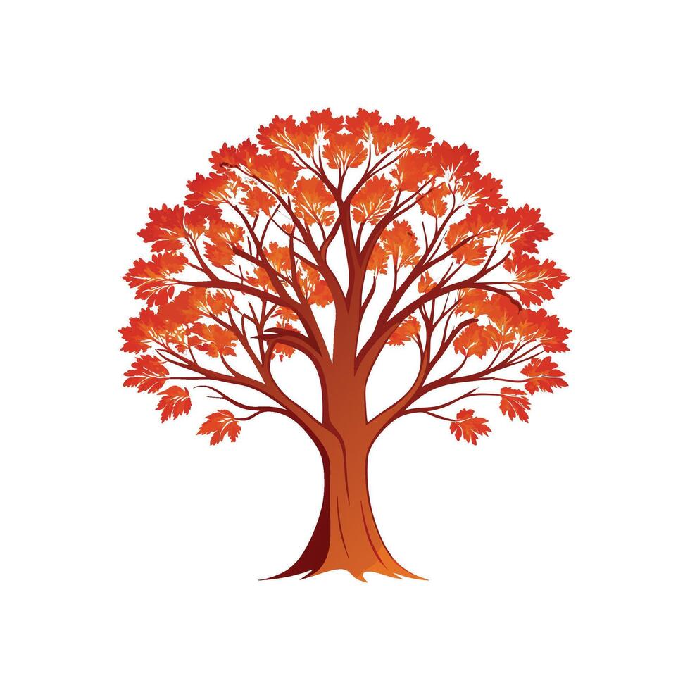Unique Outline of Copper Beech Tree vector
