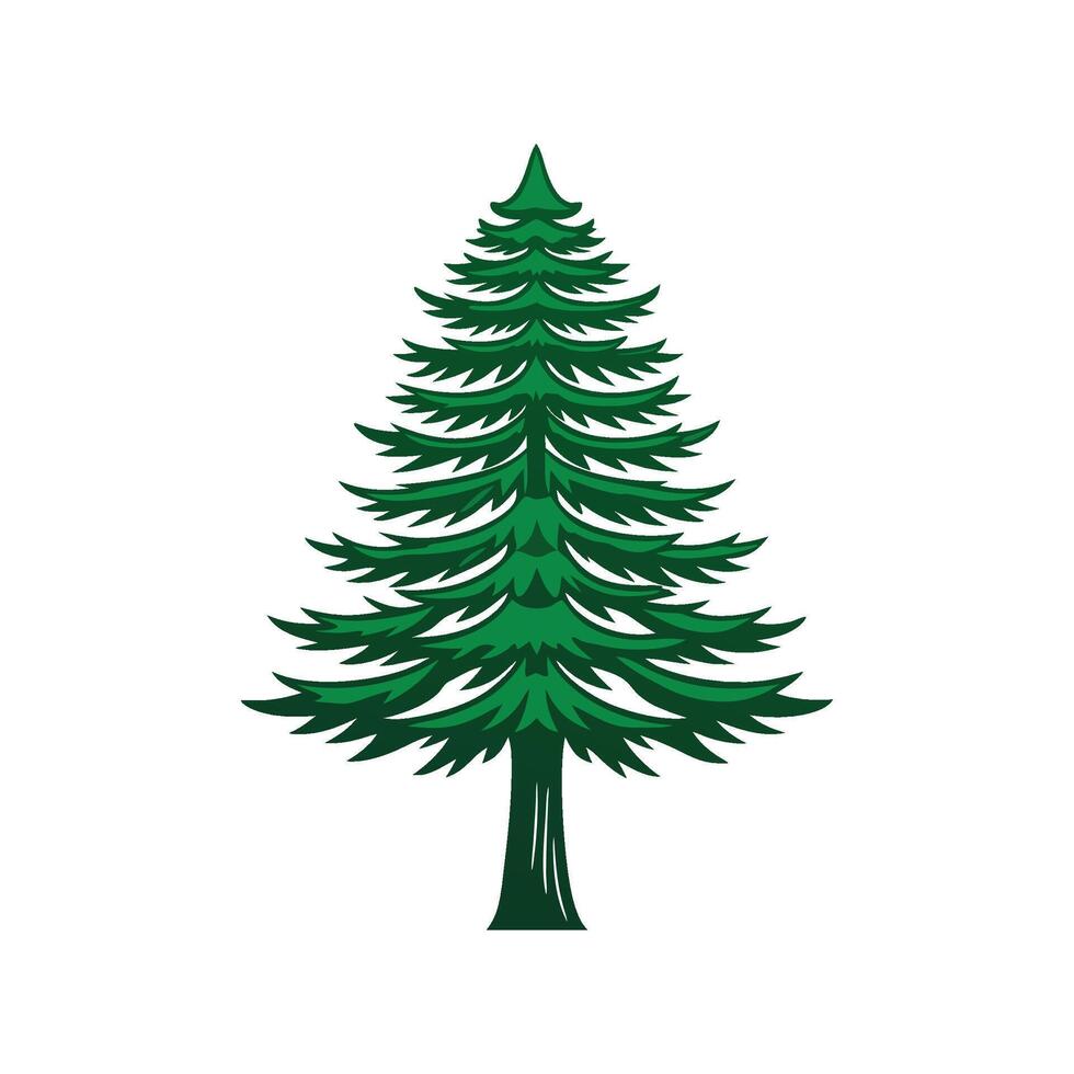 Creative Douglas Fir Tree Outline vector