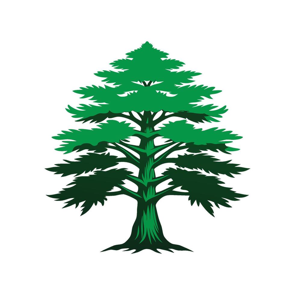 Stylish Eastern Raved Cedar Tree Outline Design vector