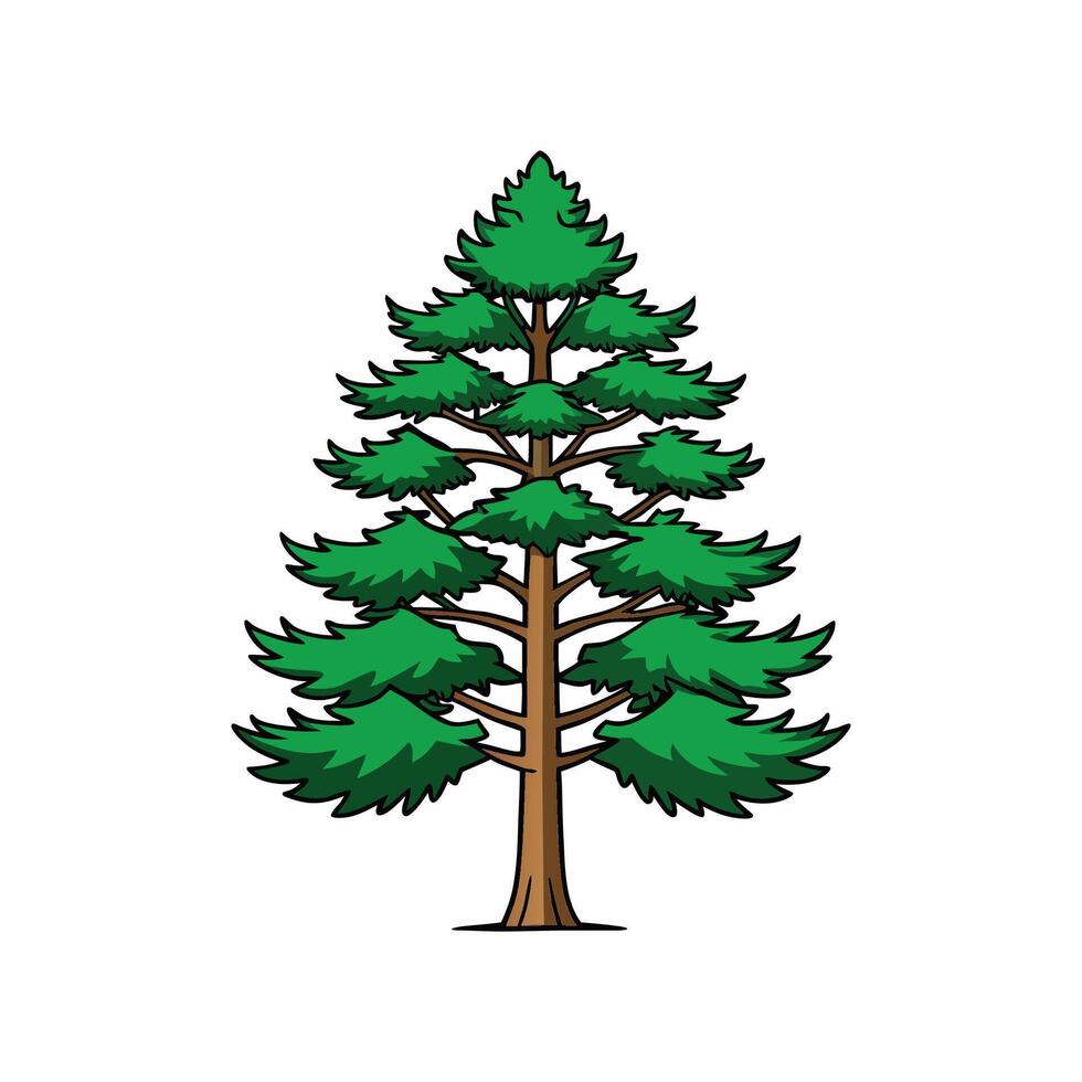 Elegant Outline of Eastern White Pine Tree vector