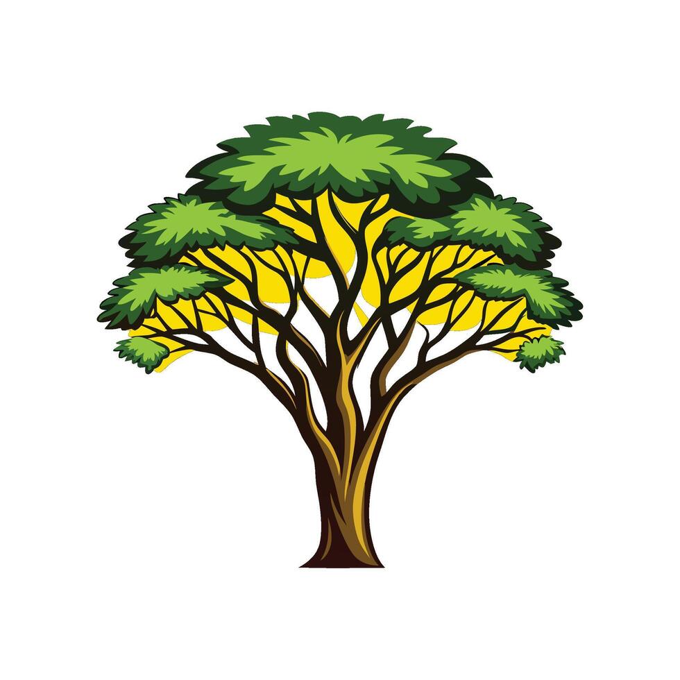 Elegant False Acacia Tree Outline vector